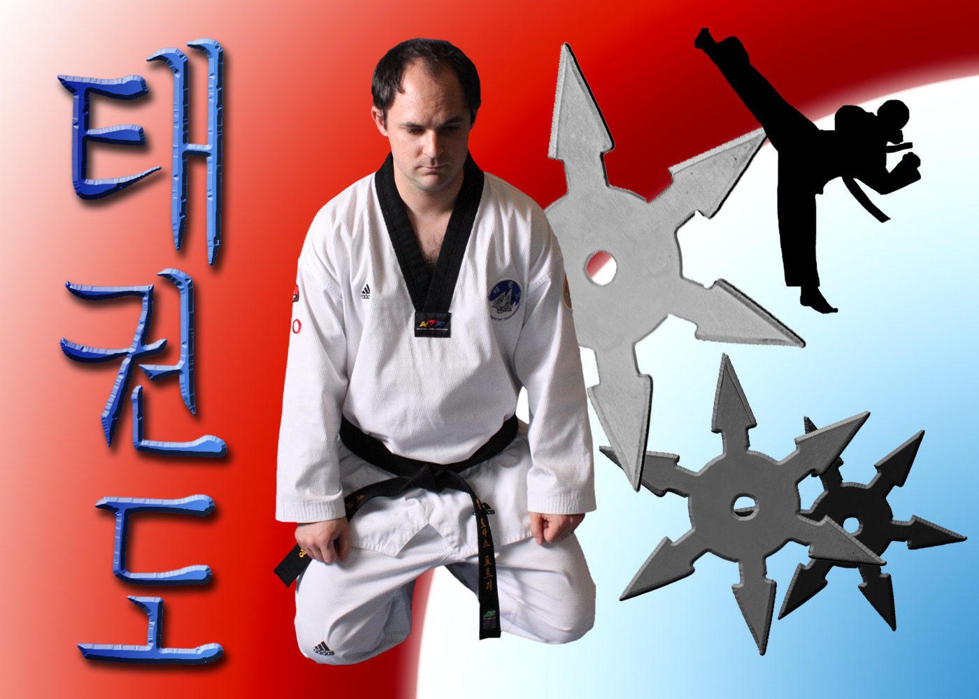 Taekwondo martial arts book art from Pottle Books